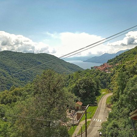Ca' Di Aroha Daire Musignano  Dış mekan fotoğraf