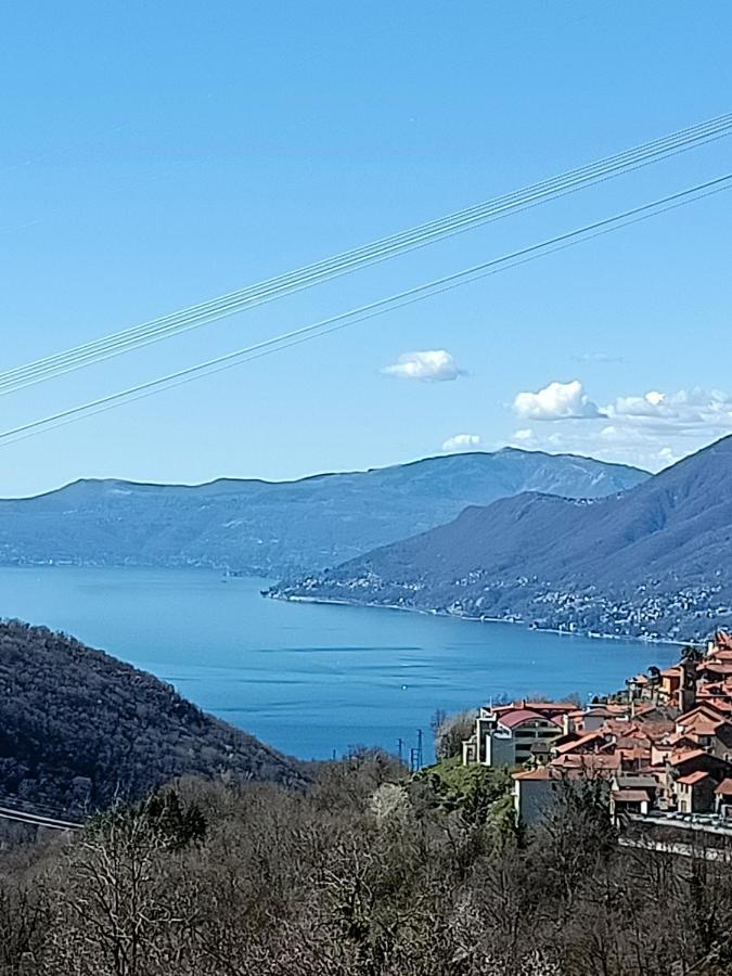 Ca' Di Aroha Daire Musignano  Dış mekan fotoğraf