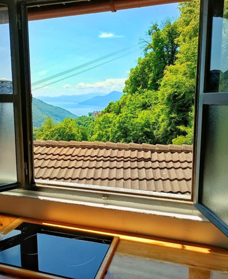 Ca' Di Aroha Daire Musignano  Dış mekan fotoğraf